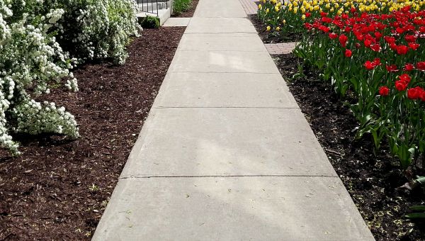 Concrete Pathway Repair in Mobile