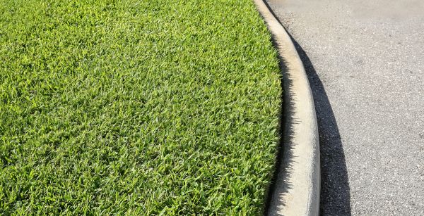 Driveway Curb Repair in Mobile